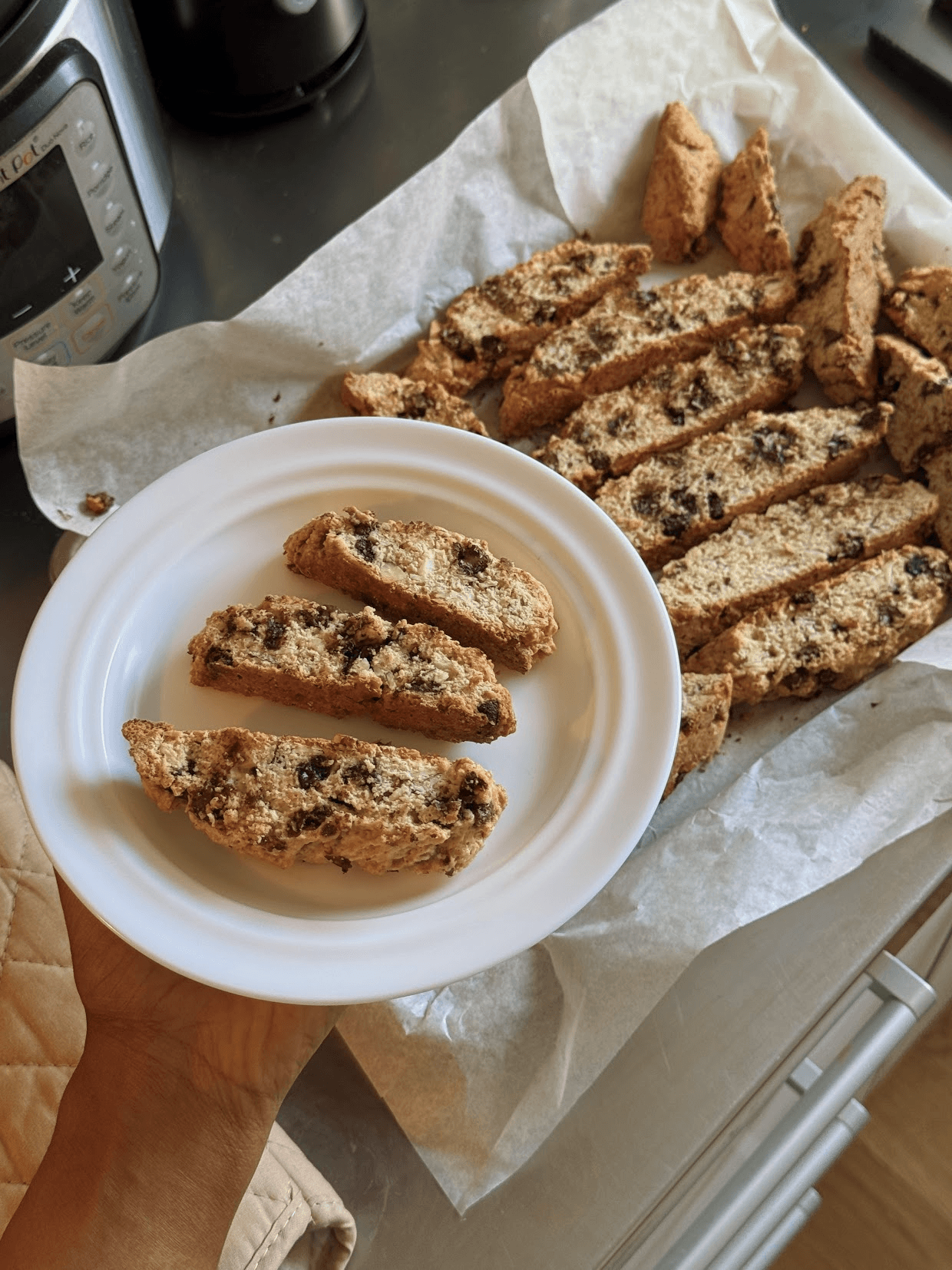 Chocolate Chip and Almond Biscotti